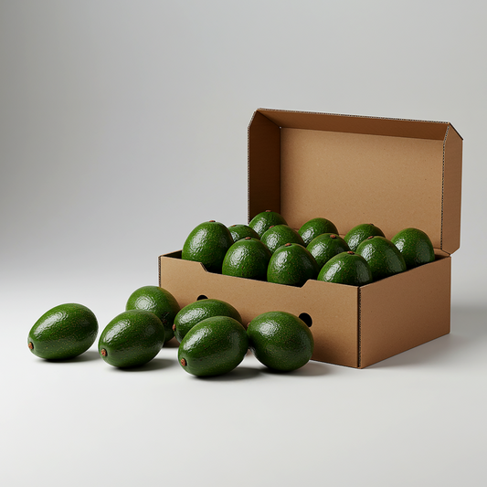 AvoBox Premium 24'lü Paket