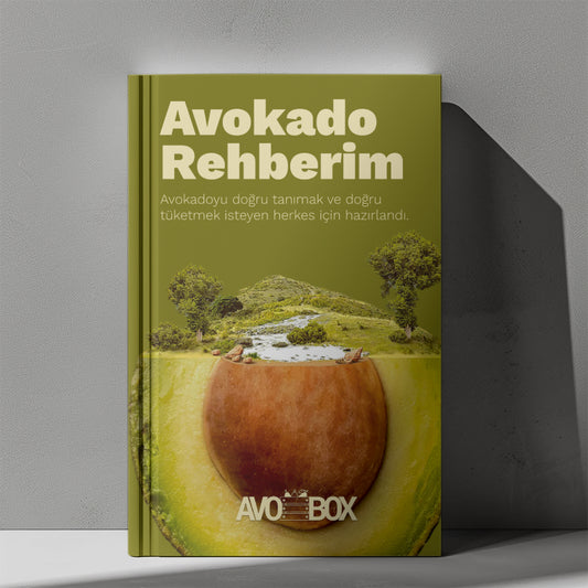 Dijital Avokado Rehberi